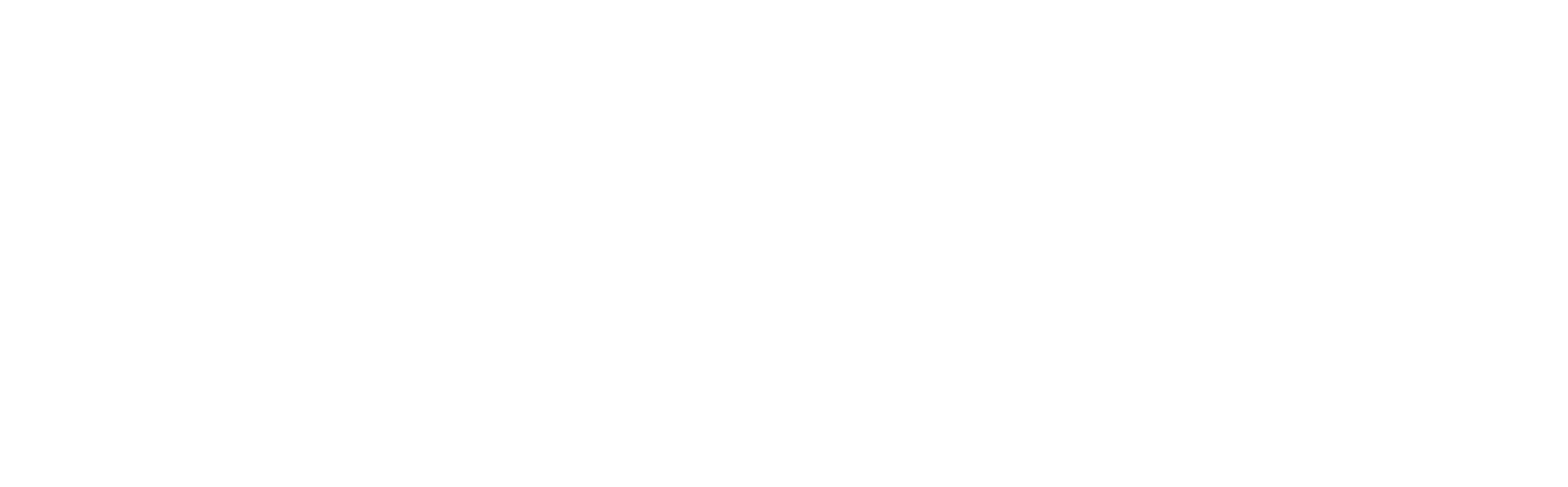 SELO Group, Singapore SELO Group, Singapore